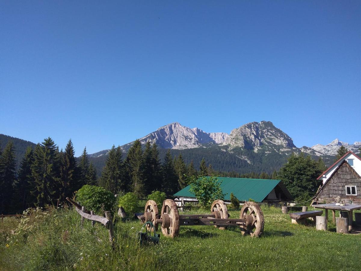 Rooms Apartment Durmitor Žabljak エクステリア 写真