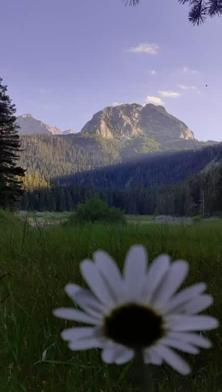 Rooms Apartment Durmitor Žabljak エクステリア 写真