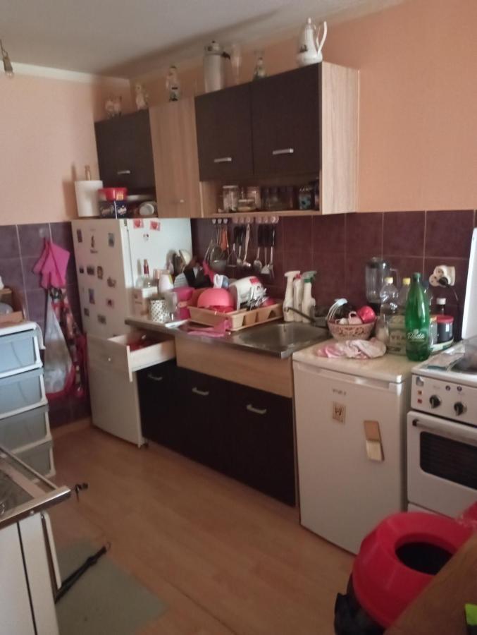 Rooms Apartment Durmitor Žabljak エクステリア 写真