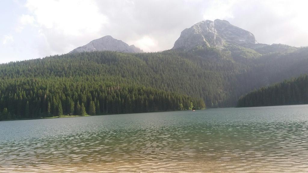 Rooms Apartment Durmitor Žabljak エクステリア 写真