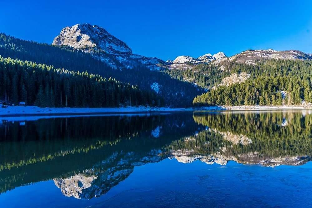 Rooms Apartment Durmitor Žabljak エクステリア 写真