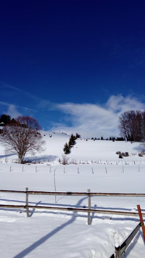 Rooms Apartment Durmitor Žabljak エクステリア 写真