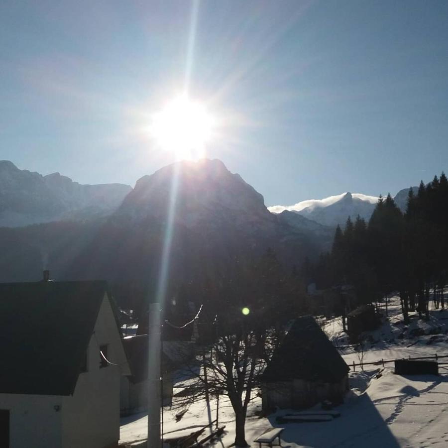 Rooms Apartment Durmitor Žabljak エクステリア 写真